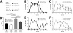 Thumbnail of Nasal shedding and transmission of swine influenza A(H1N2) reassortant virus from infected animals. A) Schematic outline of study design. B, C) In study I, virus RNA in nasal swab specimens from directly infected or contact pigs (B) and directly infected or contact ferrets (C) was quantified by using real-time reverse transcription quantitative PCR. Values are indicated as REU at each dpi or dpc. Error bars indicate SEM. D) AUC for virus shedding profiles in study I in pigs or ferre