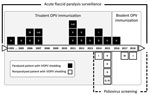 Thumbnail of Timeline of Iran’s registry of iVDPV infection, showing the number of patients identified after acute flaccid paralysis or through screening, 1995–2018. The iVDPV detection rate was initially accelerated after implementation of the poliovirus screening program. The switch in vaccination schedule from trivalent to bivalent oral poliovirus vaccine was applied in 2016, leading to a decrease in iVDPV serotype 3 emergence. Two patients excreted iVDPVs with combined serotypes 1 and 2. One