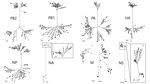 Thumbnail of Maximum-likelihood phylogenetic trees indicating relationships between Eurasian (black circles) and North American (white circles) lineages of avian influenza A viruses. Black arrows indicate genome sequences of A/Mandarin duck/Korea/K17-1638–5/2017(H6N5) virus isolated in this study. Bootstrap values &gt;99% are shown. Maximum-likelihood phylogenetic trees with complete strain names are shown in Appendix 1 Figure 2. HA, hemagglutinin gene; M, matrix gene; NA, neuraminidase gene; NP