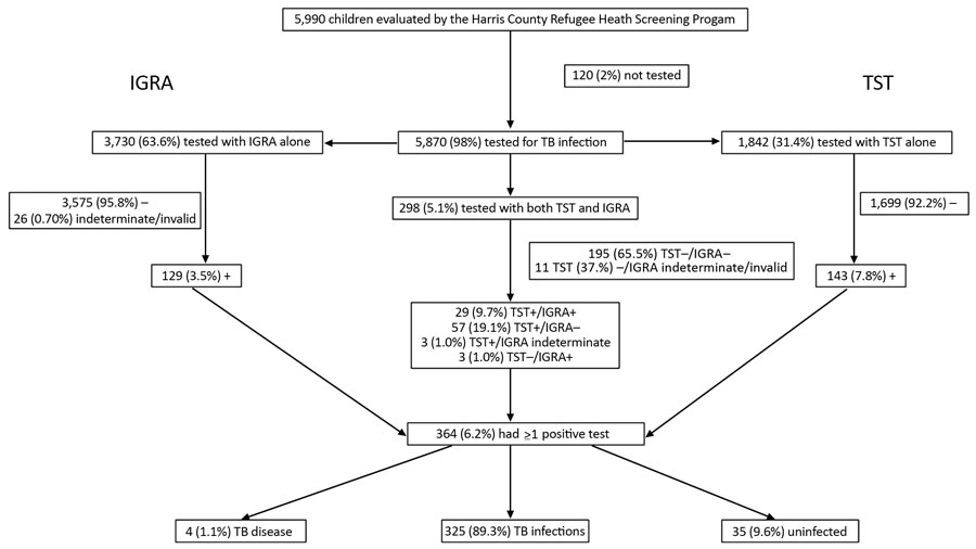 Consort diagram of TST and IGRA results in internationally displaced children over a 6-year period, Harris County, Texas, USA, 2010–2015. The percentage reported for TB disease, infection, and uninfected are the percentage of persons who had &gt;1 positive test. IGRA, interferon gamma release assay; TST, tuberculin skin test; TB, tuberculosis; +, positive; –, negative.