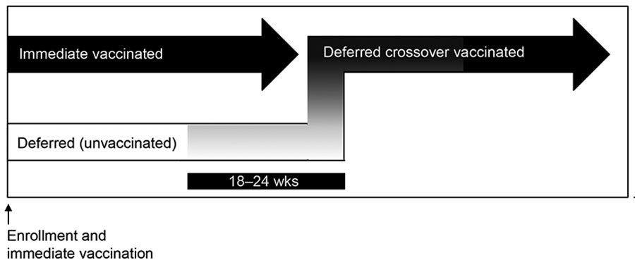 Enrollment and vaccination period for 84 participants in Sierra Leone Trial to Introduce a Vaccine against Ebola (STRIVE). Three participants randomized to the immediate group were unvaccinated. After vaccination, participants in the deferred group were eligible for vaccination at 18–24 weeks postenrollment. Upon vaccination, participants in the deferred group was referred to as the deferred crossover vaccinated group.