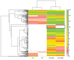 Thumbnail of Human proteomic profile of plasma-derived EVs from a heart transplant patient with chronic Chagas disease before and after BZN treatment and from 2 healthy donors. Heatmap of the identified human EV-derived proteins. Heatmap was generated from proteomic data by the Scaffold perSPECtives software (Proteome Software, http://www.proteomesoftware.com). Hierarchical clustering was performed based on the normalized weighted spectrum count. Higher numbers of human proteins were found in EV