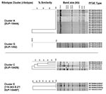 Thumbnail of Comparison of AscI pulsed-field gel electrophoresis (PFGE) patterns for isolates from selected ribotype clusters. AscI PFGE types are shown for two clusters representing epidemiologically confirmed outbreaks (A and G), one ribotype cluster that was further discriminated by PFGE typing (C), and one cluster with overlapping PFGE and ribotype clusters (E). Isolates with &lt;3 bands difference are shown in bold. The percent similarity does not reflect true phylogenetic distance.