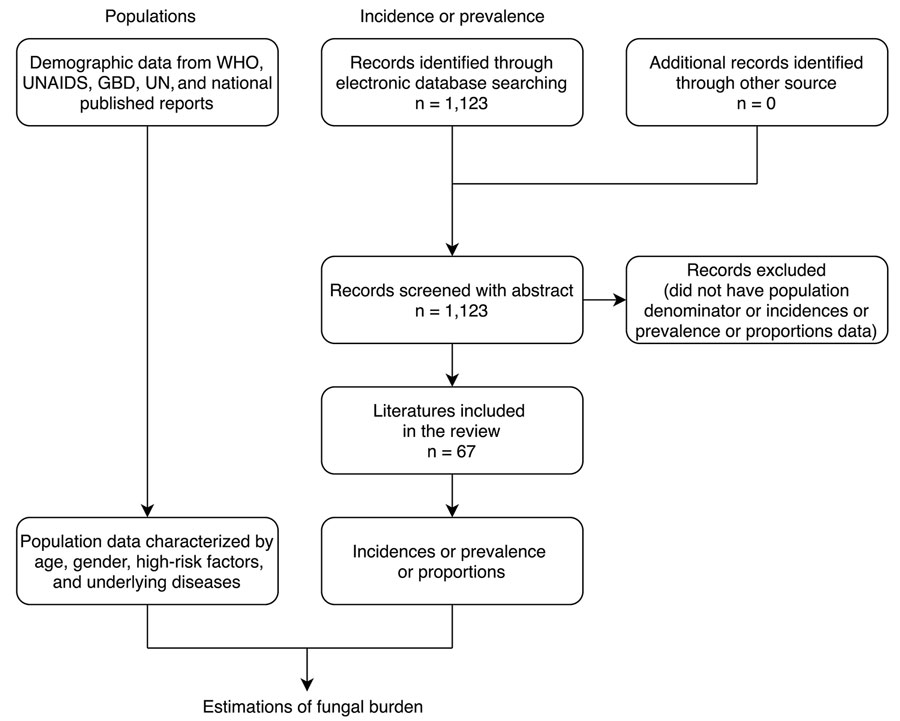 Flowchart of literature review for the human fungal disease burden in China. Reports published in English during January 1950–October 2019 were searched. GBD, Global Burden of Disease, Injuries, and Risk Factors Study; UNAIDS, the Joint Nations Program on HIV/AIDS; UN, United Nations Population Division; WHO, World Health Organization.