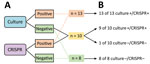 Overview of the validation study with enrichment culture for CRISPR-based diagnostic for rapid group B Streptococcus screening. Testing results by culture and CRISPR before (left) and after (right) broth enrichment are shown.