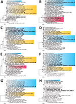 Thumbnail of Maximum-likelihood phylogenetic trees of avian influenza A (H5N8) viruses identified in Poland and Nigeria, 2019. A) Polymerase basic protein 2, C) polymerase basic protein 1, C) polymerase acidic protein, D) hemagglutinin, E) nucleoprotein, F) neuraminidase, G) matrix protein, H) nonstructural protein. H5N8 viruses detected in Poland and Nigeria in 2019 are indicated in bold, A/turkey/Poland/23/2019(H5N8) is indicated by a black star, and A/guinea_fowl/Nigeria/OG-GF11T_19VIR8424–7/