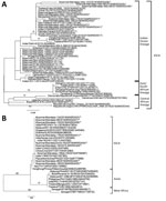 Phylogenetic trees constructed on the basis of partial nucleotide sequences of CHIKV to show the relationships of CHIKV strains from different sources, including strains detected in Myanmar during 2019 (asterisks). A) Envelope protein 1 gene; B) nonstructural protein 1 gene. Numbers along branches are bootstrap values. Representative strains of each genotype obtained from GenBank are named by country of origin, strain name, year of isolation, and GenBank accession number. Scale bars indicate nucleotide substitutions per site. ESCA, East/Central/South African.