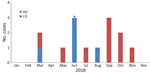 Epidemic curve of carbapenemase-producing Serratia marcescens infections by month in 2 hospitals of a large healthcare system in Miami, Florida, USA, 2018. Asterisk (*) indicates the implementation of new interventions in response to the outbreak. CO, community-onset; HO, hospital-onset.