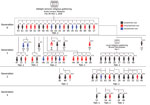 A cluster of coronavirus disease cases in Brunei Darussalam. Epidemiologic links are illustrated by generation and symptomatic status. Generation 0 occurred among attendees of a Tablighi Jama’at gathering in Kuala Lumpur, Malaysia, during February 28–March 1, 2020. Generations 1, 2, and 3 occurred in Brunei. #, case number.