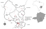 Spatial distribution of cats with cutaneous lesions suggestive of sporotrichosis, according to  laboratory diagnosis, Contagem, Minas Gerais, Brazil, May 2017–December 2018. Map was created using QGIS version 3.10 software (https://qgis.org) and the database for Contagem. Inset maps show location of Contagem and Minas Gerais state within Brazil.