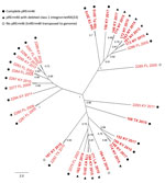 Phylogenetic population structure of multidrug-resistant Rhodococcus equi clonal complex 2287, United States. ParSNP core-genome tree of multidrug-resistant 2287 isolates shown in Figure 1. Nodes indicate bootstrap support for 1,000 replicates (values >0.7 shown). Tip labels indicate strain name, source (US state), and year of isolation. 