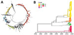 Phylodynamic analysis of region 1 in a curated study of echovirus 30 (E30) viral protein 1 (VP1) sequences from 22 countries in Europe, 2010–2018. We constructed the bootstrapped maximum likelihood neighbor-joining trees using 47 full length sequences and 277 VP1 sequences extracted from GenBank. E30 groups 1–8 are labeled. A) Maximum likelihood trees constructed by using MEGA version 7.0 (https://www.megasoftware.net). Prototype E30 strain Bastianni, (GenBank accession no. AF311938) was used as a reference. Scale bar indicates nucleotide substitutions per site. B) Maximum likelihood trees constructed by using Nextstrain (https://nextstrain.org) from which we dropped several problematic sequences, including group 5. 