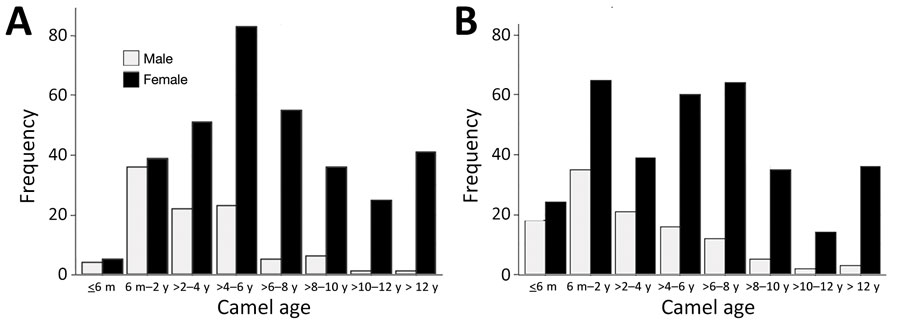 Frequency distribution of camels sampled for Middle East respiratory syndrome coronavirus in southern Jordan, February 2014–December 2015 and October 2017–October 2018, stratified by age. A) 2014–2015 study; B) 2017–2018 study.