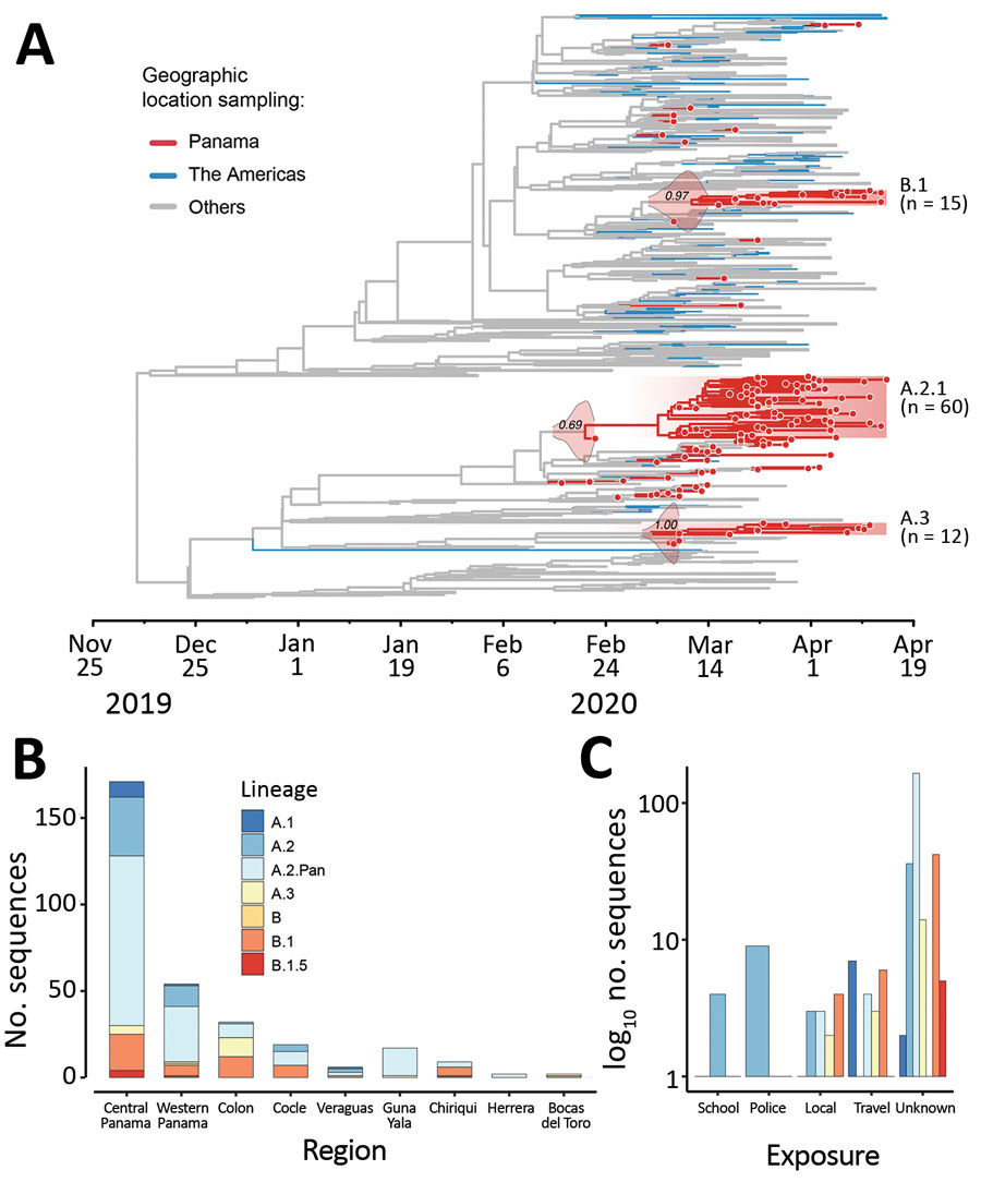 Genetic diversity of SARS-CoV-2 in Panama. A) Bayesian maximum clade credibility tree of 1,261 SARS-CoV-2 sequences: 133 from Panama; 492 from North or South America (443 genomes are from Brazil, 41 from the United States, 7 from Chile, 6 from Mexico, 3 from Argentina, 1 from Peru, and 1 from Canada); and 636 are from other locations. Posterior density estimates of time of the most recent common ancestor of each lineage with local transmission are shown in their branches. B) Distribution of lineages among regions in Panama. C) Distribution of lineages by channel of exposure detected by the surveillance system. SARS-CoV-2, severe acute respiratory syndrome coronavirus 2.