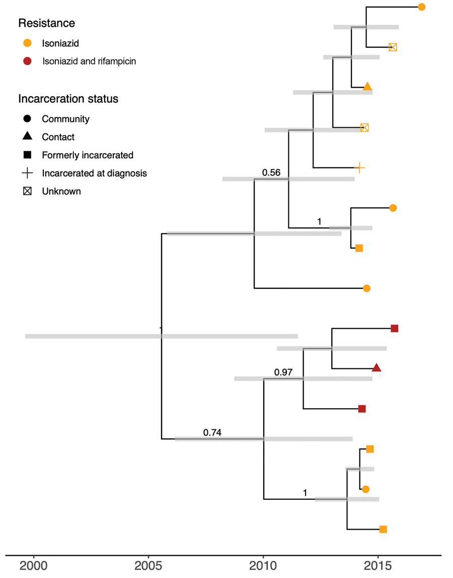 Bayesian timed tree of 14 isoniazid-resistant isolates that circulated for 11 years, from 2005 (95% CI 1998–2010) to November 2016, the most recent sampling date, in Central West region, Brazil. Tip points are colored by genotypic drug resistance; point shape indicates incarceration status. Gray error bars indicate 95% Bayesian highest posterior density intervals for node date. Clade posterior support values are shown on the middle of branches for clades with posterior support >0.5.