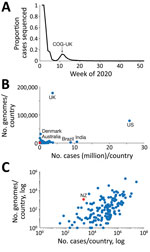 Sequenced and published genomes of global severe acute respiratory syndrome coronavirus 2 isolates. A) Proportion of global cases sequenced and shared on GISAID (https://www.gisaid.org) from December 2019 through January 2021, for which the second mode was largely driven by COG-UK as illustrated. B) Number of genomes sequenced and number of reported cases per country on a linear scale. Red, New Zealand (NZ); blue, other countries. C) Number of genomes sequenced and number of reported cases per country on a logarithmic scale. COG-UK, COVID-19 Genomics UK Consortium (https://www.cogconsortium.uk); UK, United Kingdom; US, United States.