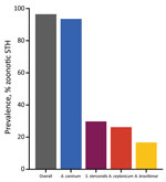 Prevalence of zoonotic soil-transmitted helminths in dogs on Tarawa Atoll, Kiribati.