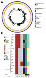 Maximum likelihood phylogenetic trees of SARS-CoV-2 B.1.1 lineage sequences globally and sequences from Danang, Vietnam. A) Global maximum-likelihood phylogenetic tree of SARS-CoV-2 B.1.1 lineage. The phylogeny was inferred with the general time-reversible plus frequencies model using 1,000 bootstrap replicates. Red dots represent viruses from the Danang cluster. The outer ring shows lineage as determined using Pangolin (https://github.com/cov-lineages/pangolin/releases/tag/v2.3.0), and the inner ring shows the geographic location of collection. B) Maximum-likelihood phylogenetic tree built from 26 Danang-related SARS-CoV-2 sequences (represented by DN plus a 3-digit number); the Wuhan strain genome (GenBank accession no. NC_045512.2) is an outgroup. Columns to the right show the nucleotide variation in 3 locations on the SARS-CoV-2 genome that define phylogenetic clusters in the Danang cluster with their origin, the location the patients were found, and the cluster of the sequence. The ModelFinder Plus option Hasegawa-Kishino-Yano substitution model, including modelling of amino acid frequencies was the best model for these samples. Scale bar indicates substitutions per site. SARS-CoV-2, severe acute respiratory syndrome coronavirus 2.