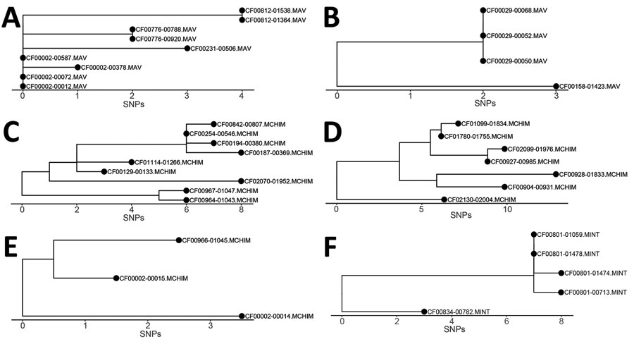 Phylogenetic visualization of Mycobacterium avium complex clusters in persons with CF in a study of M. avium complex clusters in CF centers, United States. Clusters with >3 isolates were visualized as clades to show the transition of patients’ isolates over time. A) Cluster of 4 persons with MAV. B) Cluster of 2 persons with MAV. C) Cluster of 9 persons with MCHIM). D) Cluster of 7 persons with MCHIM. E) Cluster of 2 persons with MCHIM. F) Cluster of 2 persons with MINT. CF, cystic fibrosis; MAV, M. avium; MCHIM, M. intracellulare subsp. chimaera; MINT, M. intracellulare subsp. intracellulare; SNP, single-nucleotide polymorphism.