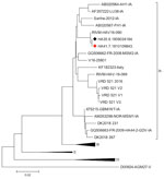 Phylogenetic relationships of viral protein 1/2A sequences in case of transfusion-transmitted hepatitis A virus, France, 2018. Black diamond indicates the sequence from the blood donor; red diamond indicates sequence from the blood recipient. Scale bar indicates nucleotide variation.