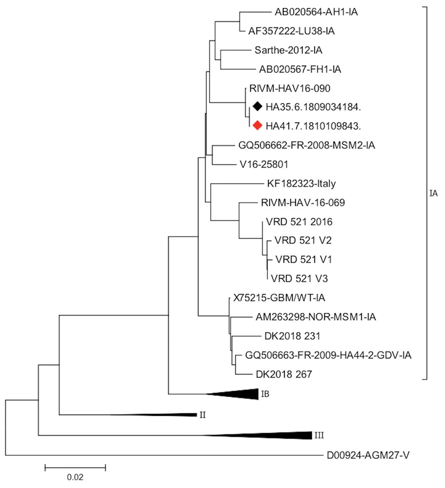 Phylogenetic relationships of viral protein 1/2A sequences in case of transfusion-transmitted hepatitis A virus, France, 2018. Black diamond indicates the sequence from the blood donor; red diamond indicates sequence from the blood recipient. Scale bar indicates nucleotide variation.