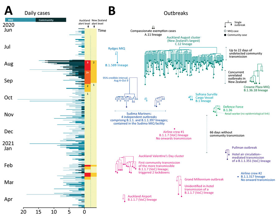 Outbreaks of coronavirus disease (COVID-19) after initial elimination in New Zealand. A) Daily COVID-19 cases, June 2020–April 2021. Alert levels in the Auckland region and across the wider country are indicated. B) Phylogenetic trees of all 13 COVID-19 postelimination community outbreaks. VoCs are indicated. Each subtree displayed is part of the larger phylogenetic tree built from genomes around the world. MIQ, managed isolation and quarantine; VoC, variant of concern.