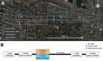 Trapping locations for Norway rats (Rattus norvegicus) caught in Vancouver, British Columbia, Canada. A) Trapping sites consisting of 3 contiguous city blocks. Each site was designated as a control or intervention site. Control sites did not involve culling (lethal animal removal); intervention sites included culling in the central block. B) Depiction of the study timeline. We first baited traps without capture to acclimatize rats to traps, then trapped and tagged rats with numbered ear tags and released the rats to their site of capture. After an intervention that involved culling rats in intervention sites, we resampled 3–6 weeks later to determine whether Bartonella spp. carriage differed between trapping periods before and after the intervention.