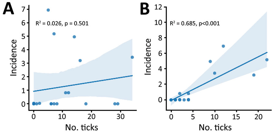 Correlation between incidence of severe fever with thrombocytopenia syndrome virus cases (cases per 1 million persons) and number of bisexual (A) and parthenogenetic (B) Asian longhorned ticks in different provinces, China. Each dot represents the number of cases in a province. Blue shading indicates 95% CI.