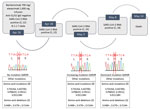 Evolution of SARS-CoV-2 variants in a patient who had coronavirus disease who was given bamlanivimab and etesivimab, Italy. Ct, cycle threshold; SARS-CoV-2, severe acute respiratory syndrome coronavirus 2.