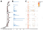 Phylogenetic tree of severe acute respiratory syndrome coronavirus 2 Alpha (B.1.1.7) variant clusters from Finland and sequence distribution. The tree (A) shows 86 clusters with ≥5 sequences (red circles), of which 84 contain 5,270 sequences sampled in Finland using TreeCluster, and 32 Finland singletons (white circles). The tree was constructed by using IQ-TREE 2 (10) with 1,000 ultrafast bootstraps. Each row in subsequent graphs is equivalent to a cluster and shows the number of sequences from Finland (B) and the proportion of sequences per region of Finland (C). Regions of Finland: 1, Åland Islands; 2, Central Finland Health Care District; 3, Central Ostrobothnia Hospital District; 4, East Savo Hospital District; 5, Hospital District of Helsinki and Uusimaa; 6, Hospital District of South Ostrobothnia; 7, Hospital District of Southwest Finland; 8, Kainuu Social and Health Care Joint Authority; 9, Kanta-Häme Hospital District; 10, Länsi-Pohja Healthcare District; 11, Lapland Hospital District; 12, North Karelia Hospital District; 13, North Ostrobothnia Hospital District; 14, North Savo Hospital District; 15, Päijät-Häme Hospital District; 16, Pirkanmaa Hospital District; 17, Satakunta Hospital District; 18, Social and Health Services in Kymenlaakso; 19, South Karelia Social and Health Care District; 20, South Savo Hospital District; 21, Vaasa Hospital District.