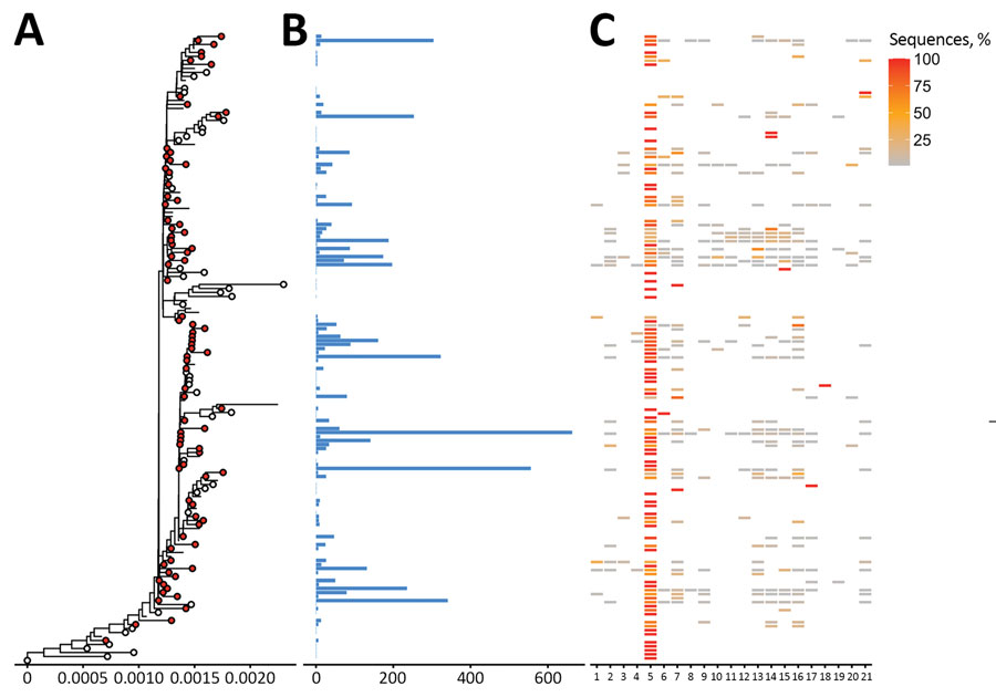 Phylogenetic tree of severe acute respiratory syndrome coronavirus 2 Alpha (B.1.1.7) variant clusters from Finland and sequence distribution. The tree (A) shows 86 clusters with ≥5 sequences (red circles), of which 84 contain 5,270 sequences sampled in Finland using TreeCluster, and 32 Finland singletons (white circles). The tree was constructed by using IQ-TREE 2 (10) with 1,000 ultrafast bootstraps. Each row in subsequent graphs is equivalent to a cluster and shows the number of sequences from Finland (B) and the proportion of sequences per region of Finland (C). Regions of Finland: 1, Åland Islands; 2, Central Finland Health Care District; 3, Central Ostrobothnia Hospital District; 4, East Savo Hospital District; 5, Hospital District of Helsinki and Uusimaa; 6, Hospital District of South Ostrobothnia; 7, Hospital District of Southwest Finland; 8, Kainuu Social and Health Care Joint Authority; 9, Kanta-Häme Hospital District; 10, Länsi-Pohja Healthcare District; 11, Lapland Hospital District; 12, North Karelia Hospital District; 13, North Ostrobothnia Hospital District; 14, North Savo Hospital District; 15, Päijät-Häme Hospital District; 16, Pirkanmaa Hospital District; 17, Satakunta Hospital District; 18, Social and Health Services in Kymenlaakso; 19, South Karelia Social and Health Care District; 20, South Savo Hospital District; 21, Vaasa Hospital District.