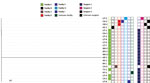 Whole-genome sequencing analysis and selected epidemiologic data for 22 Verona-integron-encoded metallo-β-lactamase-producing carbapenem-resistant Pseudomonas aeruginosa clinical isolates from US medical tourists who underwent surgery in Tijuana, Mexico, August 2018–December 2019. Phylogenetic tree includes an outlier isolate from Arkansas. On the right, the first group of 8 columns indicates facilities (A, B,C, E, F, G, I, and unknown), and the second group of 4 columns indicates surgeons (1, 2, 3, and unknown). Scale bar indicates nucleotide substitutions per site.