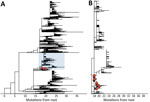 Clustering of severe acute respiratory syndrome coronavirus 2 cases related to nightclub event, Amsterdam, the Netherlands, June 2021. Red circles indicate sequences linked to the nightclub. A) Maximum-likelihood tree of all sequences (n = 4,905) in the dataset. B) Magnification of the clade (highlighted in blue in panel A) containing sequences linked to the nightclub (n = 1,663). Branches without tips depict other Netherlands Delta variant sequences derived from GISAID (https://www.gisaid.org).