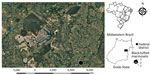 Locations of urbanized free-ranging black-tufted marmosets with fatal human alphaherpesvirus 1 infections, Federal District, Goiás, Brazil, 2012–2019. Circles indicate known locations of outbreak 1 (7 animals), outbreak 2 (2 animals), and 3 isolated cases. Insets indicate location of Federal District (black shading) in Goiás state and Goiás state in Brazil. Figure adapted from Google Maps (https://www.google.com.br/maps).