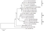 Phylogenetic analysis of JCV from collected mosquitoes, Maine, USA, 2017–2019. We compared a JCV sequence detected in mosquitoes from Maine to sequences from JCV and other viruses detected in other areas of the United States and Canada. We analyzed sequences by using the neighbor-joining method in MEGA X (https://www.megasoftware.net). The state or region of origin, strain, and year of isolation or detection are indicated for each virus, when available; GenBank accession numbers are provided. Asterisk indicates the sequence generated in this study. Numbers at branch nodes represent bootstrap values. Virus clades are indicated on the right. Scale bar indicates nucleotide substitutions per site. INKV, Inkoo virus; JCV, Jamestown Canyon virus; LACV, La Crosse virus; SRV, South River virus.