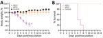 Pathogenicity of 2 G4 Eurasian avian-like influenza A(H1N1) swine isolates from pigs in China in BALB/c mice. A) Body weight change of infected mice. B) Survival curve of infected mice. Two groups of five 6-week-old BALB/c mice were inoculated intranasally with A/swine/Jiangsu/HD11/2020(H1N1) (HD11) or A/swine/Anhui/HD21/2020(H1N1) (HD21) at a dose of 106 50% egg infectious dose/50 µL. Another 5 mice mock-infected with phosphate-buffered saline were served as control. Body weight change and survival rate were recorded daily until 14 days postinoculation, and mice that lost ≥25% of the initial body weight were humanely euthanized.