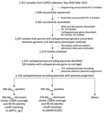 Flowchart of steps used for identifying dominant carbapenemase-encoding plasmids in clinical Enterobacterales isolates and hypervirulent Klebsiella pneumoniae, Singapore. We collected 1,312 samples available in the CaPES collection and analyzed 1,215 whole-genome sequenced samples. We identified 2 dominant clusters with large numbers of carbapenemase-encoding plasmids; the blaKPC–dominant cluster comprised pKPC2 plasmids and the blaNDM–dominant cluster pNDM1 plasmids. CaPES, Carbapenemase-Producing Enterobacteriaceae in Singapore (CaPES) (Enterobacteriaceae is the former name of Enterobacterales); WGS, whole-genome sequencing.