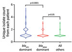 Violin plots showing the unique isolate counts from each patient in a study of dominant carbapenemase-encoding plasmids in clinical Enterobacterales isolates and hypervirulent Klebsiella pneumoniae, Singapore. Unique isolates were defined as different species or different sequence types from same species. We separated unique isolates into 3 groups: blaKPC dominant (n = 196), blaNDM dominant (n = 203), and all others (n = 504), which included blaKPC nondominant, blaNDM nondominant, and others. Brackets indicate p values for nonparametric Mann-Whitney tests between groups. 