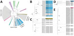 Contextual phylogenetic tree and enlarged clades showing genetic relatedness of the Cameron Peak firefighter sequences to sequences of SARS-CoV-2 collected within the United States during September–December 2020. A) Full contextual tree constructed using 754 contextual sequences subsampled from GISAID (https://www.gisaid.org) plus 24 Cameron Peak firefighter consensus sequences. The phylogeny has been pruned to display 164 contextual sequences and Cameron Peak firefighter sequences. Cameron Peak sequences are highlighted in color according to their lineage assignment. Clades highlighted in gray represent potential community and interstate transmission events. Cameron Peak sequences assigned to lineage B.1.2 (green) do not cluster together on the contextual phylogeny to form a monophyletic group, suggesting that they are genetically divergent from one another and likely do not represent a single transmission event, despite belonging to the same lineage. Mutation differences among these sequences are shown in detail in Figure 1. B) Colorado clade 1. Twelve Cameron Peak firefighters formed a monophyletic group with sequences from 2 Colorado counties. C) Colorado clade 2. A single Cameron Peak firefighter sequence formed a clade with sequences collected from 3 Colorado counties and additional sequences collected from outside of Colorado (not labeled). Low support values for this clade may be expected because of low sequence diversity. D) State 5 clade. The Cameron Peak firefighter sequence formed a monophyletic clade with sequences collected from his or her state of deployment (State 5). E) State 6 clade. The Cameron Peak firefighter sequence formed a clade with sequences collected from his or her state of deployment (state 6) and additional sequences collected from outside of Colorado and not from his or her state of deployment (not labeled).  Low support values for this clade may be caused by low sequence diversity. For panels B–E, all sequences within a clade are assigned the same lineage. Collection dates are labeled for all tips. Cameron Peak firefighter sequences are highlighted according to their lineage and labeled with crew. Nodes with at least 95% ultrafast bootstrap support values are labeled. Additional information is available in the Appendix.