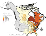 Dabbling duck movements to and from North Carolina and South Carolina, USA, to and from other states or provinces in study of highly pathogenic avian influenza A(H5N1) 2.3.4.4 virus, United States, 2021. Data are based on North American Bird Banding Program data collected during 1960–2021. Color intensities represent number of movements detected between a given state or province and North Carolina or South Carolina. Lines are positioned at the centroid of a given state or province. Bold border lines indicate administrative migratory bird flyways (from west to east: Pacific Flyway, Central Flyway, Mississippi Flyway, and Atlantic Flyway).