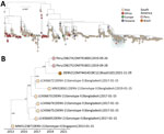 Maximum-likelihood phylogenetic analysis for DENV-2 cosmopolitan genotype, Brazil. A) Midpoint rooted tree shows the evolutionary relationships of the complete genome sequence from the DENV-2 cosmopolitan genotype identified from a patient in Goiás state, Brazil (orange circle), and 1,089 publicly available sequences from GenBank. Scale bar indicates nucleotide substitutions per site. Colors represent different sampling locations. Blue highlighting shows area enlarged in panel B. B) Time-resolved maximum-likelihood tree showing the blue highlighted area from the larger tree in panel A. Colors indicate geographic location of sampling. Support for branching structure is shown by bootstrap values at key nodes. DENV-2, dengue virus serotype 2.