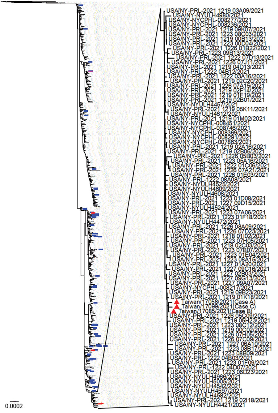 Whole-genome sequencing of SARS-CoV-2 from 3 case patients (indicated with red triangles) who contracted COVID-19 in a quarantine hotel in Taipei City, Taiwan, in December 2021 (GISAID with accession ID EPI_ISL_13535670, 13535983, 13536113). Phylogenetic trees were constructed using IQ-TREE software (http://www.iqtree.org/) by maximum likelihood. The phylogenetic analysis with sequences obtained from the United States (1988 viruses), Japan (79 viruses, blue lines), and China (1 virus, red line) sampled from the same timeframe revealed that sequences of the 3 case patients fell into a subclade close to one from the United States. Scale bar for enlarged tree section indicates substitutions per site.