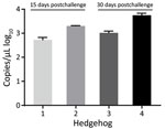 Severe fever with thrombocytopenia syndrome virus (SFTSV) viremia in 4 Atelerix albiventris hedgehogs in study of hedgehogs as amplifying hosts of SFTSV in China. Hedgehogs were challenged by intraperitoneal inoculation with 4 × 106 FFU of SFTSV Wuhan strain and then kept at 4°C to trigger hibernation. Viremia in hedgehogs 1 and 2 was monitored at 15 days postinoculation and in hedgehogs 3 and 4 at 30 days postinoculation. Error bars indicate SDs.  