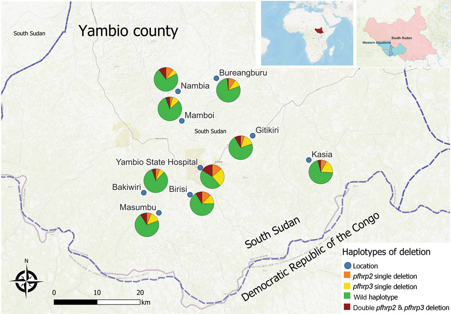 Frequencies of Plasmodium falciparum single and double pfhrp2 and pfhrp3 deletions in malaria-hyperendemic region, South Sudan. Color represents the type of deletion and proportion of each type of deletion and genotype. Open source QGIS software (https://www.qgis.org) was used to map sample collection locations. Inset map shows locations of the study area in South Sudan and of South Sudan in Africa.