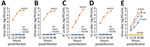 Growth kinetics of sarbecovirus isolates from bats in Japan. Rhinolophus cornutus bat isolates Rc-o319 (A), Rc-os20 (B), Rc-mk2 (C), and Rc-kw8 (D) or SARS-CoV-2 (B.1.1.7) € were inoculated into Vero/TMPRSS2 (WT), Vero-RcACE2 (RcACE2), Vero-hACE2 (hACE2), or Vero-ACE2KO (ACE2KO) cells at a multiplicity of infection of 0.01. The culture supernatants were collected at the indicated time points, and viral titers were determined by using a plaque assay. Data are reported as the mean titer with standard deviations from 3 independent experiments. ACE2, angiotensin converting enzyme 2; hACE2, human ACE2; RcACE2, R. cornutus ACE2; WT, wild-type.