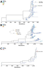 Phylogenetic trees of human parainfluenza viruses in homeless shelters, King County, Washington, USA, October 2019‒May 2021. A) Human parainfluenza virus 1; B) human parainfluenza virus 3; C) human parainfluenza virus 4a. Letters in keys indicate different homeless shelters from which sequenced specimens were collected. Other indicates genomic data from locations not in Seattle, Washington. Seattle indicates genomic data from Seattle other than homeless shelters in this study.