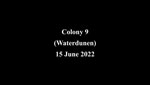 Webcam sequence of clips from within colony 9 (Waterdunen), June 15, 2022 (10 days after first dead birds were observed in this large colony), the Netherlands. 07:51: Many adults respond to unseen disturbance by flying off, but 1 sick bird remains, unable to fly, tries to cover its chick with its wing but starts faltering. 07:56: Other adults have returned, including presumed partner of sick bird. Chick turns to other parent and stumbles over sick bird. Partner pecks at sick bird, driving it away. Sick bird staggers away and takes cover at nearby plant. 08:07. Sick bird no longer moves. Chick and partner pass by, without further interaction, leaving bird (presumably dead) as is. In total, >900 dead Sandwich terns were removed from this colony on June 14 and 15, 2022 (Appendix 1 Table 1). Webcam credit: Bureau Waardenburg and Stichting Het Zeeuwse Landschap.