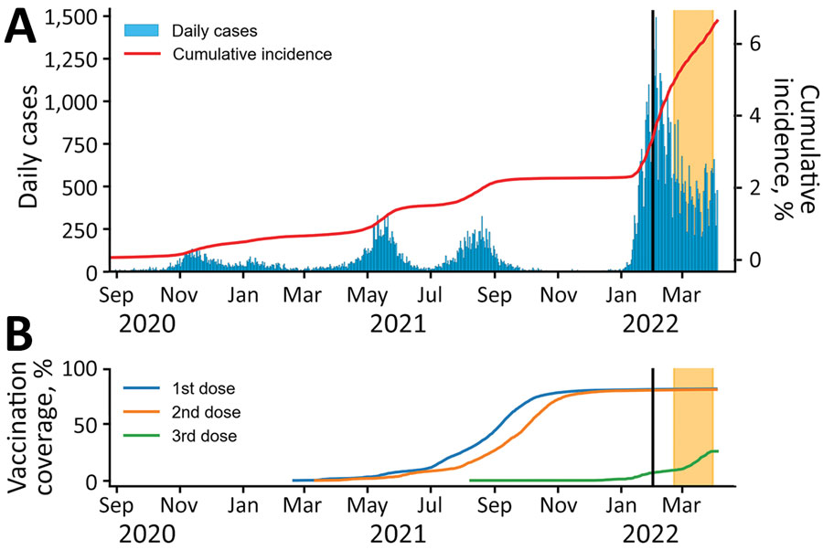 Daily COVID-19 cases, cumulative incidence, and vaccination rates during a case–control study of long COVID, Sapporo, Japan, August 2020–March 2022. A) Number of daily COVID-19 cases and cumulative incidence rates. B) Vaccination rates among the population of Sapporo. Date range represents timeframe in which participating case-patients might have been infected. Vertical black lines indicate February 1, 2022, the date potential participants were randomly identified. Yellow shading at right indicates the period of the survey in this study, February 21–March 31, 2022.