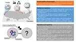 Open questions for predictive modeling of MRSA. Example questions at the facility level, the population level, and across scales are listed. The upper left panel depicts population-level and facility-level MRSA transmission. The lower left panel represents the uncertainty about the roles of co-selection and competition with MSSA in affecting the dynamics of MRSA. MRSA, methicillin-resistant Staphylococcus aureus; MSSA, methicillin-susceptible S. aureus.