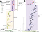 Phylogenetic trees for hemagglutinin genes of clade 2.3.4.4 H5Ny and neuraminidase genes of global H5N1 avian influenza viruses. A) Phylogeny of hemagglutinin genes of global clade 2.3.4.4 H5Ny avian influenza viruses. Solid green circles indicate H5N1 and H5N8 viruses from wild birds isolated in China; sequence names are listed next to corresponding circles. Red asterisks indicate human isolates. H5 vaccine seed strains used in mainland China are listed near the corresponding clades; orange cross indicates Re-14 vaccine. The major H5Ny subtypes within clade 2.3.4.4b are colored by their subtypes and collection dates. Clade 2.3.4.4b was divided into clade 2.3.4.4b.1 and clade 2.3.4.4b.2 because of >2.7% average pairwise nucleotide distance and >60% support for the 2 subclades. B) Phylogeny of global H5N1 neuraminidase genes. Colored circles indicate the novel H5N1 viruses from this study, H5N1 viruses from mainland China, and H5N1 viruses isolated in 2020 and 2021. Numbers on branches represent bootstrap support values for some major clades. Scale bar indicates number of nucleotide substitutions per site. Full phylogenetic trees of hemagglutinin genes of global H5Ny and neuraminidase genes of global H5N1 are provided at https://github.com/judyssister/globalH5N1_2021.